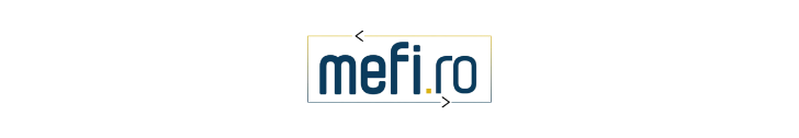 Partner-Logo-Mefi@2x